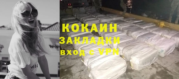 молекула духа Ладушкин