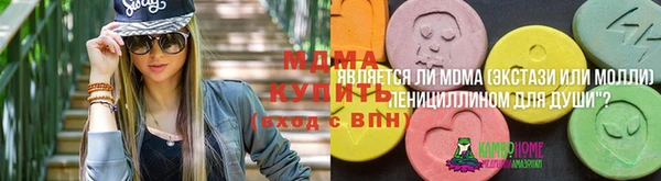 молекула духа Ладушкин
