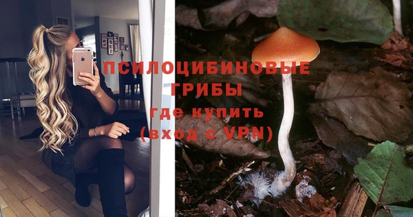 молекула духа Ладушкин