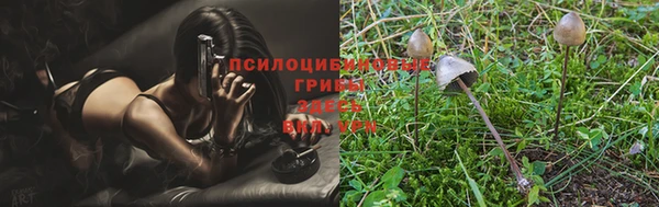 прущие грибы Лагань